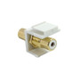 RCA Female/Female Keystone Wall Plate Insert White, Gold Plated - White ( Fleet Network )