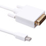 Axiom DisplayPort/DVI-D Video Cable - 10 ft DisplayPort/DVI-D Video Cable for Monitor, Desktop Computer, Notebook, Video Device - Mini (Fleet Network)