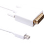 Axiom DisplayPort/DVI-D Video Cable - 6 ft DisplayPort/DVI-D Video Cable for Monitor, Desktop Computer, Notebook, Video Device - Mini (Fleet Network)