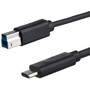 StarTech.com HDMI to USB C Video Capture Device - Plug-and-Play UVC HDMI Capture - Mac and Windows - 1080p - Record audio / video to - (UVCHDCAP)