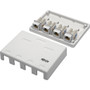 Tripp Lite N236-004-WH Mounting Box - White - Acrylonitrile Butadiene Styrene (ABS) - 4 x RJ-45 Port(s) (N236-004-WH)