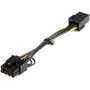 StarTechcom Power Adapter Cable - PCI Express - 6 Pin - 8 Pin - PCIe - 61 PCIEX68ADAP