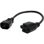 StarTechcom 1 ft Computer Power Cord - 10-Pack - For Computer Monitor Printer - 125 V AC  10 A - Black - 1 ft Cord Length - North PAC10010PK