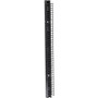 Black Box Vertical IT Rackmount Cable Manager - 45U x 3.5"W, Single-Sided, Black - Black - 45U Rack Height - TAA Compliant (DCMV45U35S)