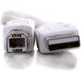 C2G USB Cable - Type A Male - Type B Male - 1m - White (13171)