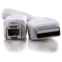 C2G USB Cable - Type A Male - Type B Male - 2m - White 13172