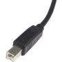 StarTech.com USB 2.0 A to B Cable - 15ft USB Cable - A to B USB Cable - USB Printer Cable - type A to B USB Cable - A to B USB 2.0 (USB2HAB15)