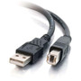 C2G USB 2.0 Cable - Type A Male USB - Type B Male USB - 5m - Black (Fleet Network)