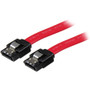 StarTech.com 18in Latching SATA Cable - Male SATA - Male SATA - 18 - Red (Fleet Network)