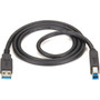 Black Box USB 30 Cable - Type A Male To Type B Male Black 6-ft 18-m - 6 ft USBUSB-B Data Transfer Cable for Hard Drive Dock USB30-0006-MM