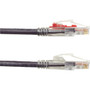 Black Box GigaTrue 3 Cat6 UTP Patch Network Cable - 1 ft Category 6 Network Cable for Patch Panel Wallplate Network Device - First C6PC70-VT-01