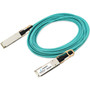 Axiom Fiber Optic Network Cable - 6.6 ft Fiber Optic Network Cable for Network Device - First End: 1 x QSFP28 Male Network - Second 1 (Fleet Network)