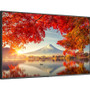 NEC Display 55" Wide Color Gamut Ultra High Definition Professional Display - 55" LCD - Yes - 3840 x 2160 - Edge LED - 500 cd/m&#178; (Fleet Network)