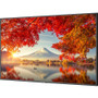 NEC Display 55" Wide Color Gamut Ultra High Definition Professional Display - 55" LCD - Yes - 3840 x 2160 - Edge LED - 500 cd/m&#178; (MA551)