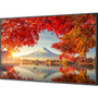 NEC Display 55 Wide Color Gamut Ultra High Definition Professional Display - 55 LCD - Yes - 3840 x 2160 - Edge LED - 500 cdm178 MA551