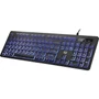 Adesso Large Print Illuminated Desktop Keyboard - Cable Connectivity - USB Interface - 104 Key - English US - Desktop Computer - - AKB-139EB