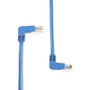 Black Box SpaceGAIN Cat.6 UTP Patch Network Cable - 3 ft Category 6 Network Cable for Patch Panel, Wallplate, Network Device - First 1 (EVNSL216-0003-90DU) EVNSL216-0003-90DU Network Cable physical Black Box Fleet Network Canada