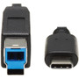 Tripp Lite U422-20N-G2 USB-C 3.1 Gen 2 to USB 3.0 Type-B Cable (M/M), 20 in - 1.7 ft USB-C/USB-B Data Transfer Cable for Printer, Hub, (U422-20N-G2)