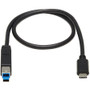 Tripp Lite U422-20N-G2 USB-C 3.1 Gen 2 to USB 3.0 Type-B Cable (M/M), 20 in - 1.7 ft USB-C/USB-B Data Transfer Cable for Printer, Hub, (U422-20N-G2)