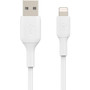 Belkin BoostCharge Lightning to USB-A Cable (15cm / 6in, White) - 5.9" Lightning/USB Data Transfer Cable - First End: Lightning - End: (CAA001bt0MWH)