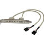 StarTech.com 2 Port USB A Female Slot Plate Adapter - Type A Female USB - 11.25 (Fleet Network)