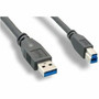 Axiom USB 30 Type-A to USB Type-B Cable MM 6ft - 6 ft USBUSB-B Data Transfer Cable - First End USB 30 Type A - Male - Second End USB3ABMM06-AX