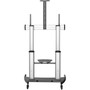 StarTechcom Mobile TV Stand Heavy Duty Universal TV Cart for 60-100 inch Display 100kg220lb Height Adjustable Rolling TV Floor - STNDMTV100