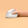 Logitech Lift Vertical Ergonomic Mouse (Off-white) - Optical - Wireless - Bluetooth/Radio Frequency - Off White - USB - 4000 dpi - - 6 (910-006469)