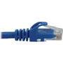 Tripp Lite N261-001-BL Cat.6a UTP Network Cable - 1 ft Category 6a Network Cable for Network Device, Switch, Patch Panel, Server, Hub, (N261-001-BL)