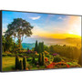 Sharp Ultra High Definition Professional Display - 55" LCD - Touchscreen - High Dynamic Range (HDR) - 3840 x 2160 - Edge LED - 500 - - (Fleet Network)