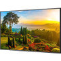 Sharp Ultra High Definition Professional Display - 55" LCD - Touchscreen - High Dynamic Range (HDR) - 3840 x 2160 - Edge LED - 500 - - (M551)