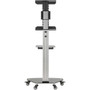 Tripp Lite DMCS3770SG75 Premier Rolling TV Cart - 7938 kg Capacity - 3 7620 mm Caster Size - Glass Steel - 315 Width x 19 x - DMCS3770SG75