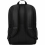 Targus Classic TBB943GL Carrying Case Backpack for 156 to 16 Notebook - Backpack Strap TBB943GL