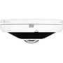 Digital Watchdog MEGApix PANO DWC-PVF5DI1TW 5 Megapixel Outdoor Network Camera - Monochrome Color - Fisheye - TAA Compliant - 80 ft - DWC-PVF5DI1TW