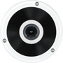 Digital Watchdog MEGApix PANO DWC-PVF5DI1TW 5 Megapixel Outdoor Network Camera - Monochrome Color - Fisheye - TAA Compliant - 80 ft - DWC-PVF5DI1TW