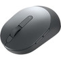 Dell Pro Wireless Mouse - MS5120W - Titan Gray - Wireless - Titan Gray (Fleet Network)