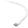 C2G 3ft USB-C Male to Lightning Male Sync and Charging Cable - White - 3 ft LightningUSB-C Data Transfer Cable for iPhone iPad Siri C2G54558