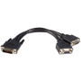 StarTech.com LFH 59 Male to Dual Female VGA DMS 59 Cable - HD-15 Female Video - DMS-59 Male - 8 - Black (Fleet Network)