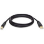 Tripp_Lite_USB_20_Cable_-_10_ft_USB_Data_Transfer_Cable_-_First_End_1_x_Type_A_Male_USB_-_Second_End_1_x_Type_B_Male_USB_-_1_Pack_U022-010