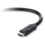 Belkin HDMI Cable - Type A Male HDMI - Type A Male HDMI - 10ft - Black (Fleet Network)