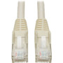 Tripp Lite Cat6 UTP Patch Cable - 25 ft Category 6 Network Cable - First End: 1 x RJ-45 Male - Second End: 1 x RJ-45 Male - Patch - (Fleet Network)