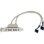 StarTech.com 2 Port USB A Female Low Profile Slot Plate Adapter - Type A Female USB (Fleet Network)