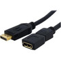 StarTechcom_DisplayPort_Video_Extension_Cable_-_MF_-_6_ft_-_DisplayPort_Male_Video_-_DisplayPort_Female_Video_-_6ft_-_Black_DPEXT6L