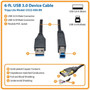 Tripp Lite series USB 30 SuperSpeed Device Cable AB MM Black 6-ft - 6 ft USB Data TransferPower Cable for Hard Drive Printer - U322-006-BK