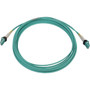 Tripp Lite by Eaton N820X-05M-OM4 Fiber Optic Duplex Network Cable - 164 ft Fiber Optic Network Cable for Network Device Switch - 2 N820X-05M-OM4