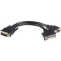 StarTechcom DMS-59 to DVI and VGA Y Cable - Female Video DMSDVIVGA1