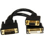 StarTechcom 8in Wyse DVI Splitter Cable - DVI-I to DVI-D and VGA - MF - Cost-effective replacement for your Wyse 920302-02L splitter DVI92030202L