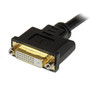 StarTechcom 8in Wyse DVI Splitter Cable - DVI-I to DVI-D and VGA - MF - Cost-effective replacement for your Wyse 920302-02L splitter DVI92030202L