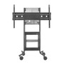 Avteq DynamiQ RPS-500 - Up to 70 Screen Support - 8981 kg Load Capacity - 74 187960 mm Height x 62 157480 mm Width x 30 mm RPS-500-BB-CSB70B