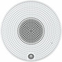 AXIS Mini C1410 Mk II Speaker System - White - TAA Compliant - 100 Hz to 20 kHz 02838-001